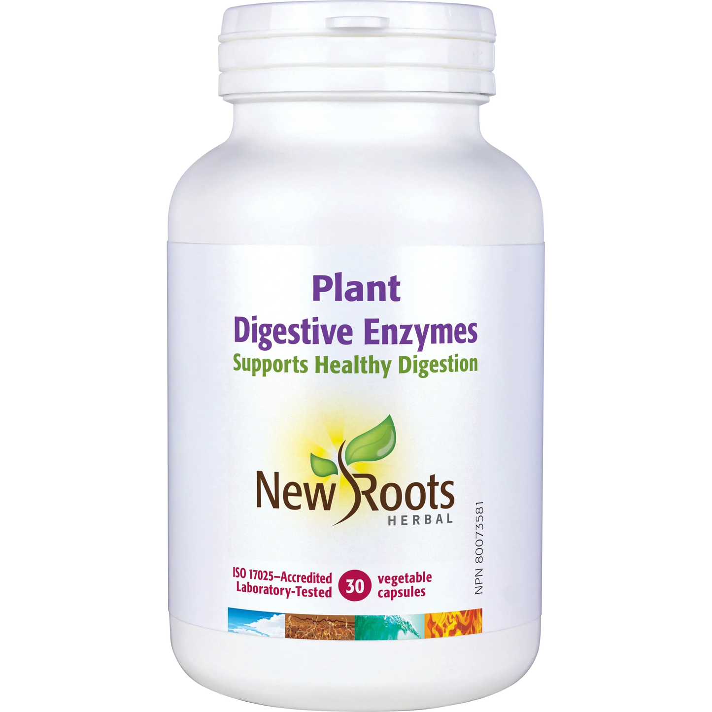 Enzymes Digestive Végétales