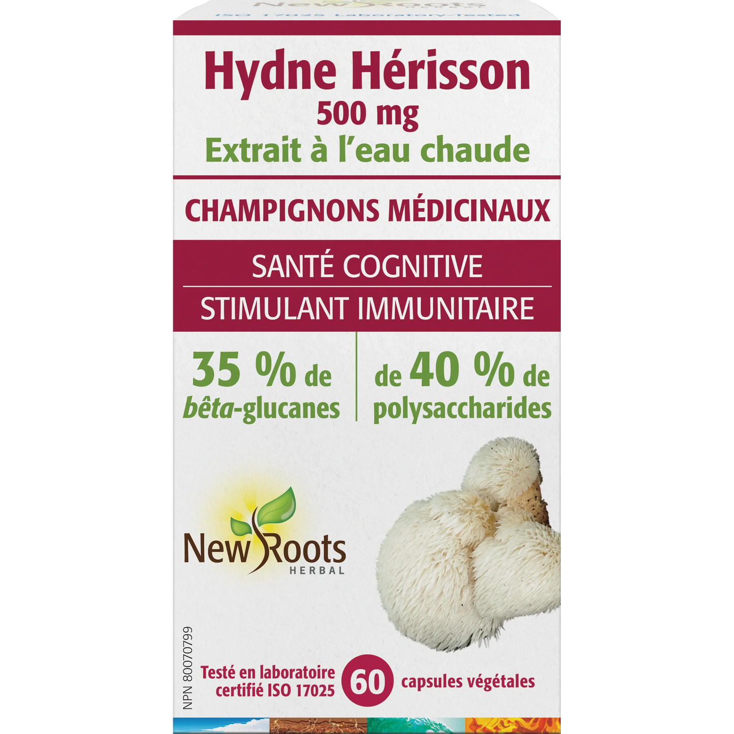 Hydne Hérisson 500mg - 60 capsules
