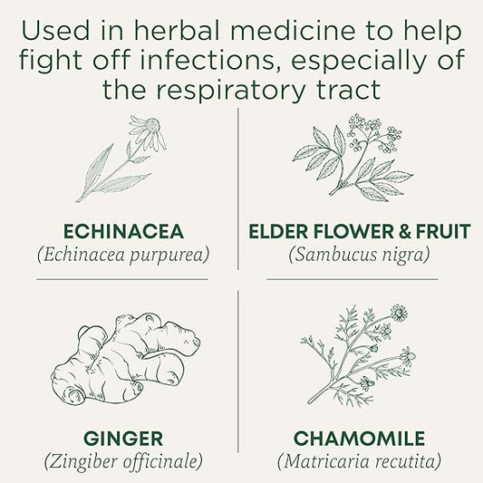 Organic Echinacea Plus® with Elderberry Tea (16 bags)