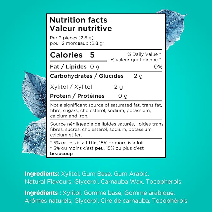 Gomme à maher sans sucre et sans aspartame - Menthe d'hiver