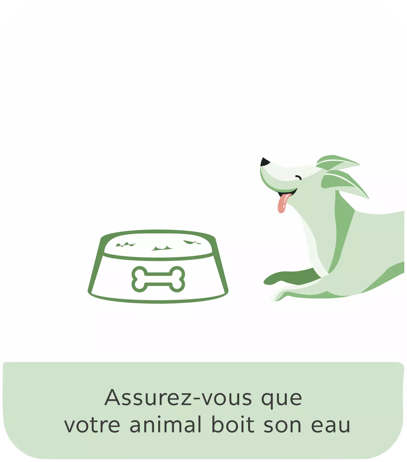 Animodel - Muscles Articulations ( Gouttes )