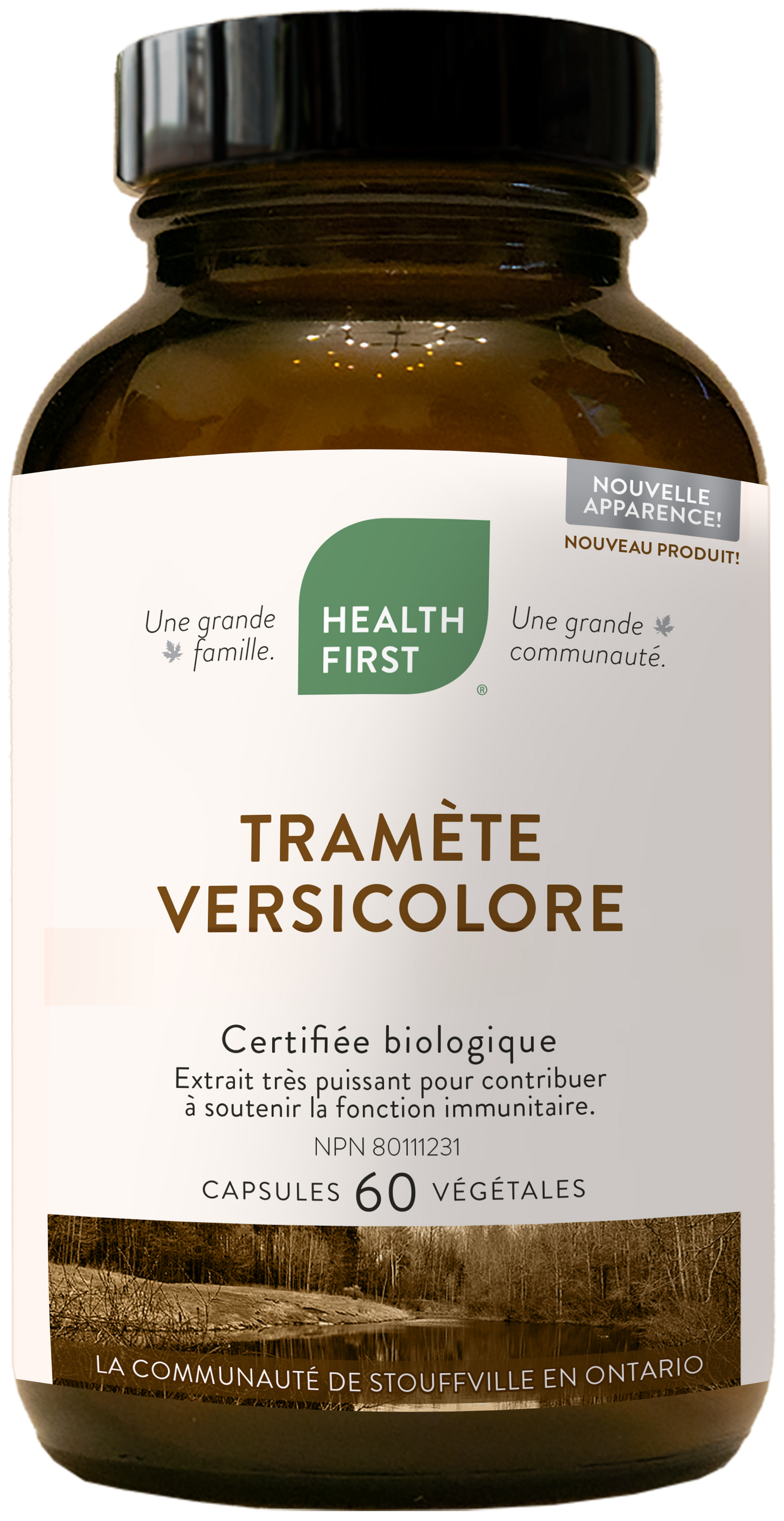 Tramète Versicolore ( turkey tale ) - 60 Capsules