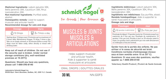 Animodel - Muscles Articulations ( Gouttes )