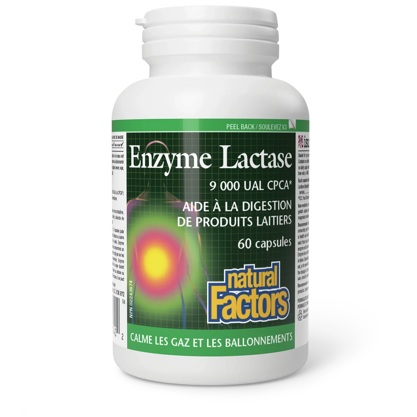 Enzyme Lactase - 60 capsules