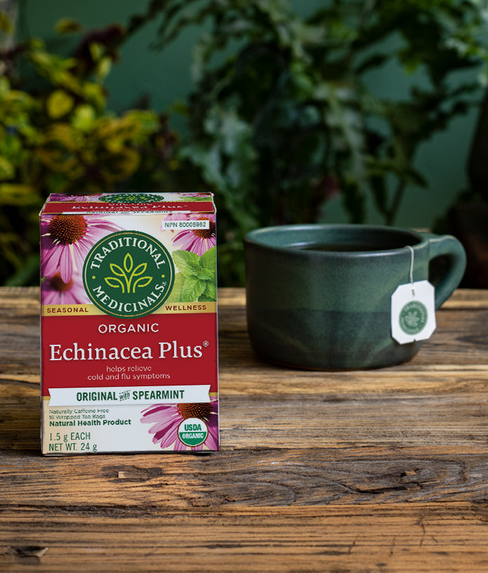 Tisane biologique Echinacea Plus® aux baies de sureau (16 sachets )