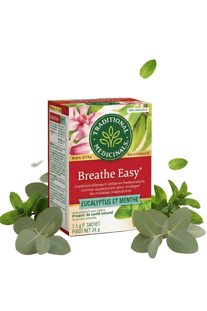 Boîte de tisane bio Aide respiratoire de Traditional Medicinals avec eucalyptus, menthe poivrée, gingembre et racine de réglisse pour le soutien des voies respiratoires.
