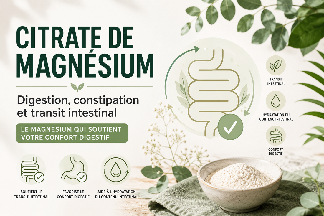 Citrate de Magnésium, Digestion et Constipation