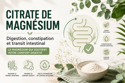Citrate de Magnésium, Digestion et Constipation