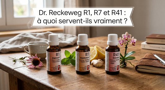 Dr. Reckeweg R1, R7 et R41 : à quoi servent-ils vraiment ?