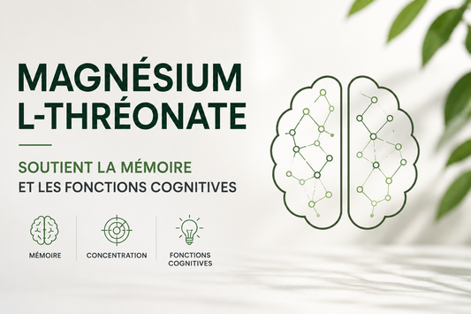 Magnésium L-Thréonate et mémoire : bienfaits, études scientifiques et recommandations