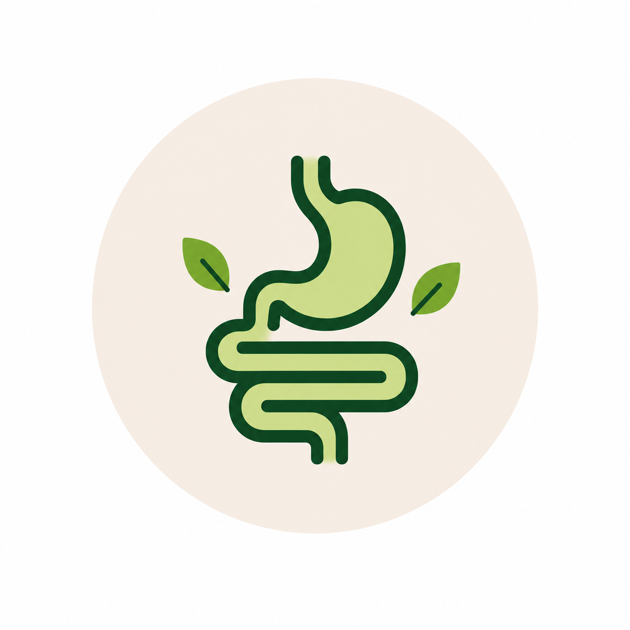 Digestion & Santé intestinale