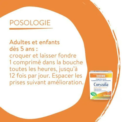 Coryzalia Adultes