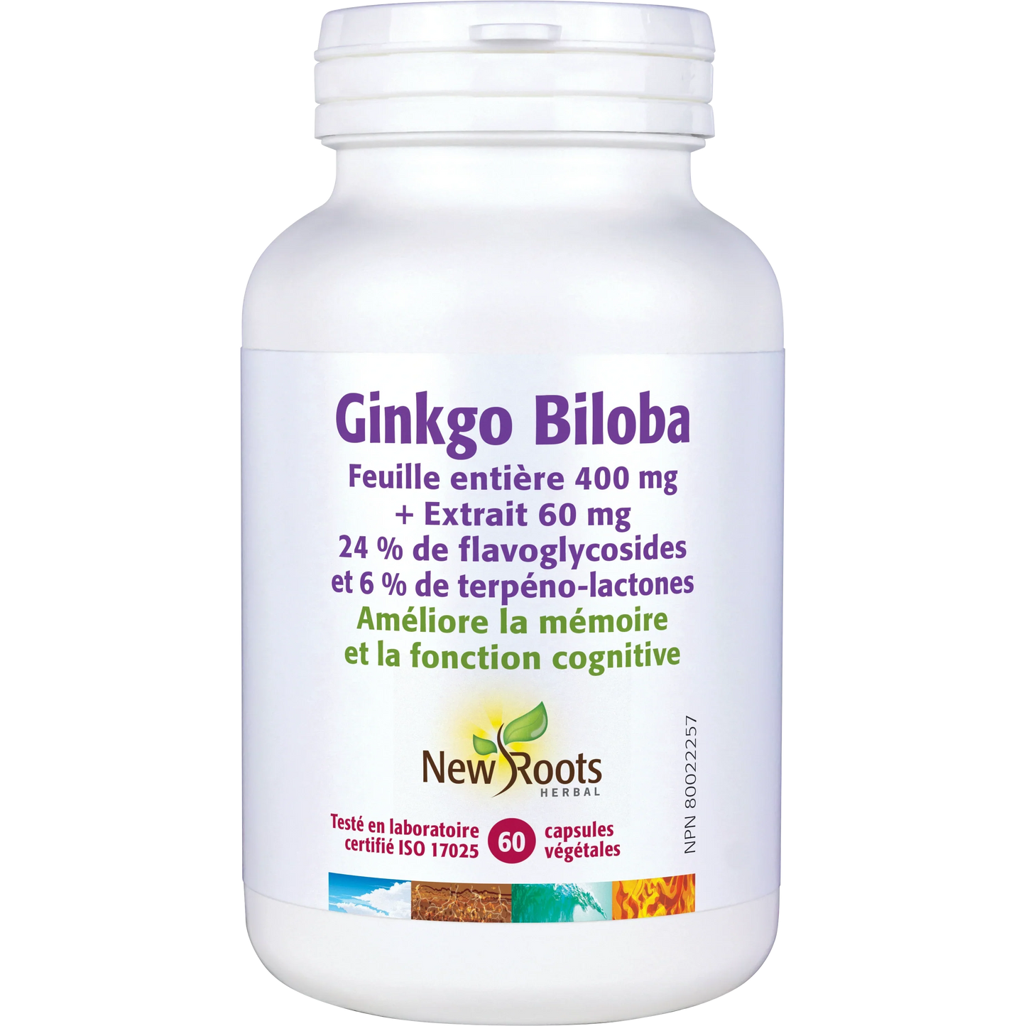 Ginkgo Biloba Feuille entière 400 mg -