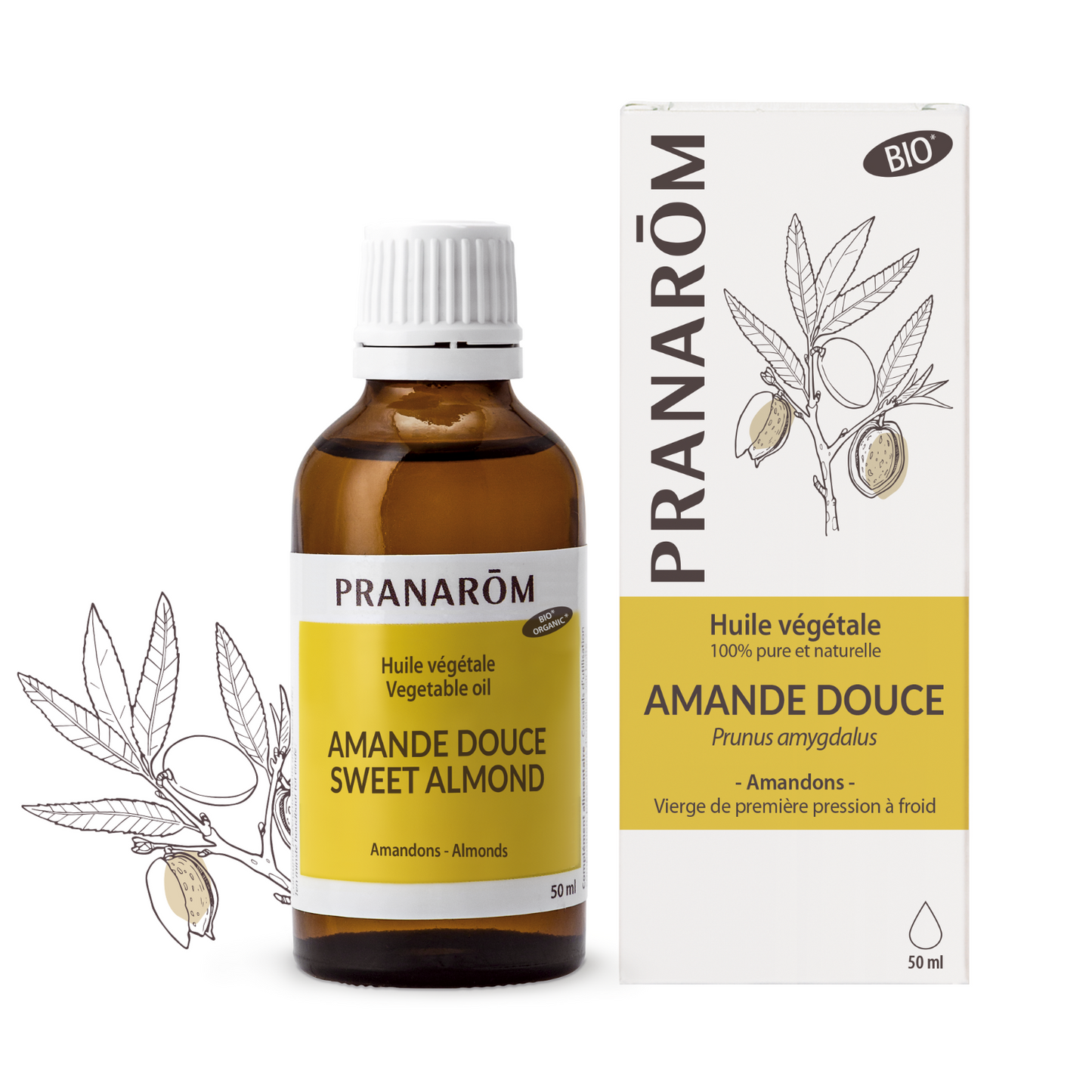 Sweet almond