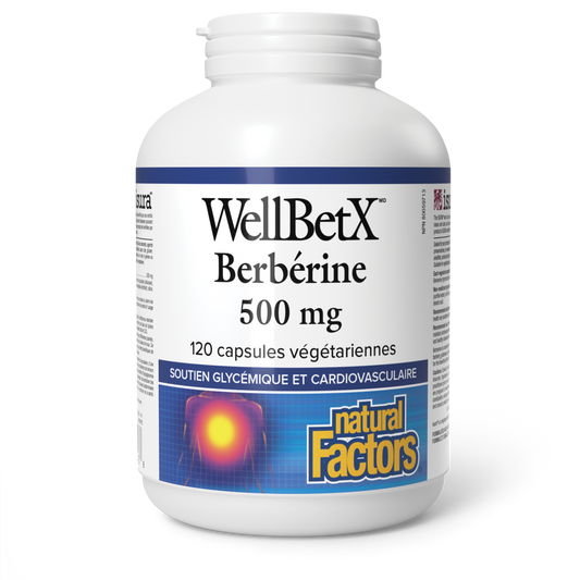 WellBet Berberine 500mg - Capsules Végétariennes