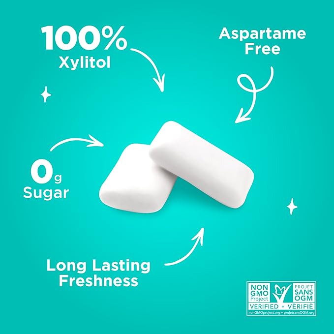 Gomme à maher sans sucre et sans aspartame -  Menthe d'hiver