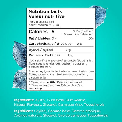 Gomme à maher sans sucre et sans aspartame -  Menthe d'hiver