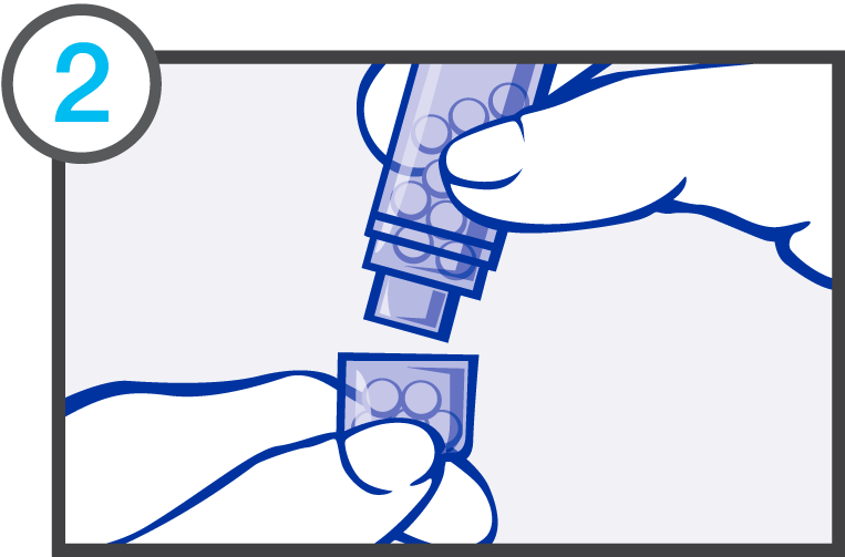 Chelidonium majus ( Granules )