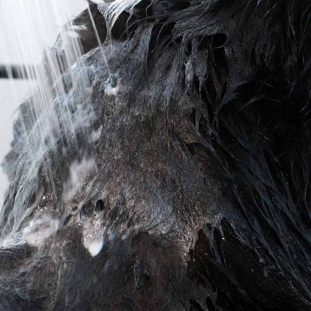 Shampoing anti-démangeaison animaux