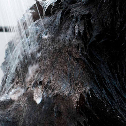 Shampoing anti-démangeaison animaux