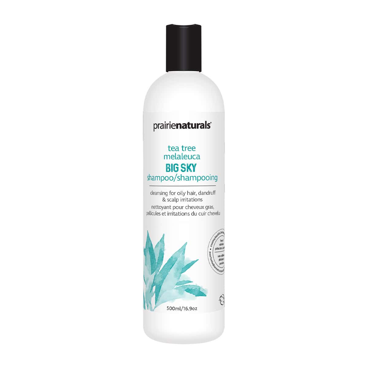 Shampoing - Big Sky 500 ml