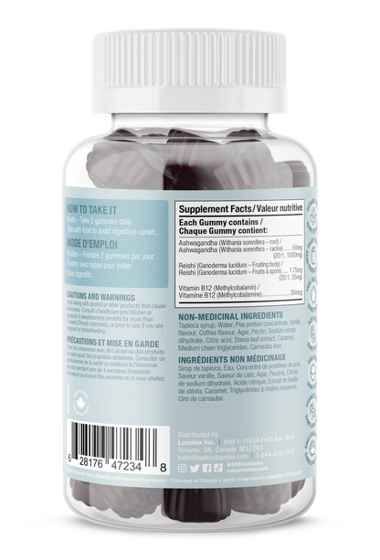 Ashwachill - 60 jujubes