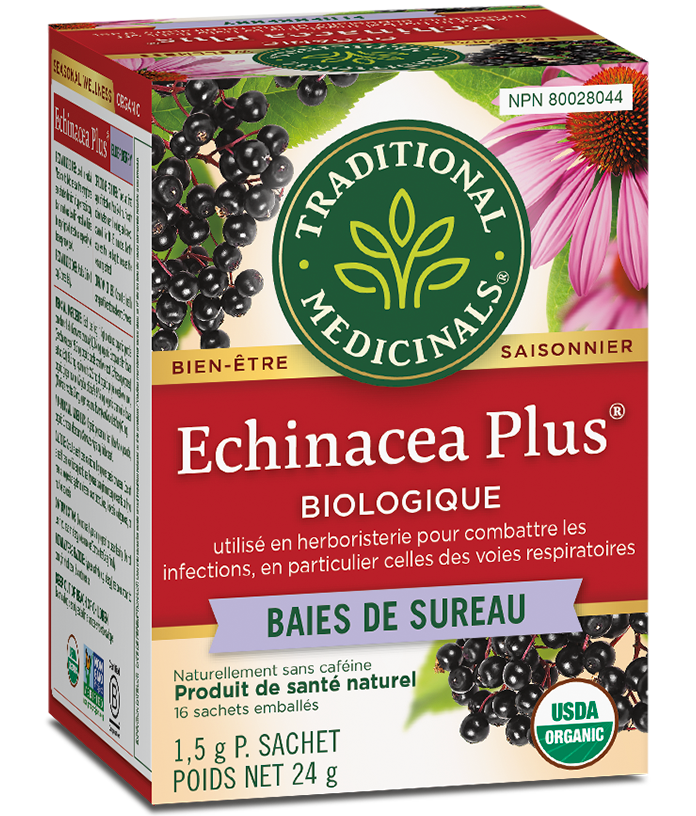 Tisane biologique échinacée et baies de sureau pour immunité, rhume et soutien des voies respiratoires