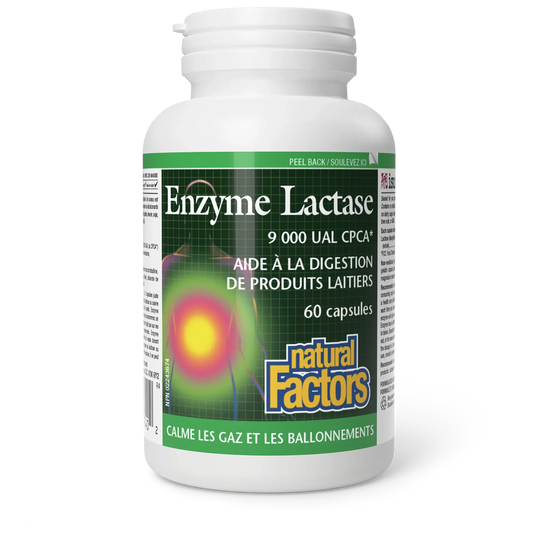 Enzyme Lactase - 60 capsules