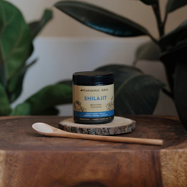 Shilajit 50g - Récolté à l'état sauvage