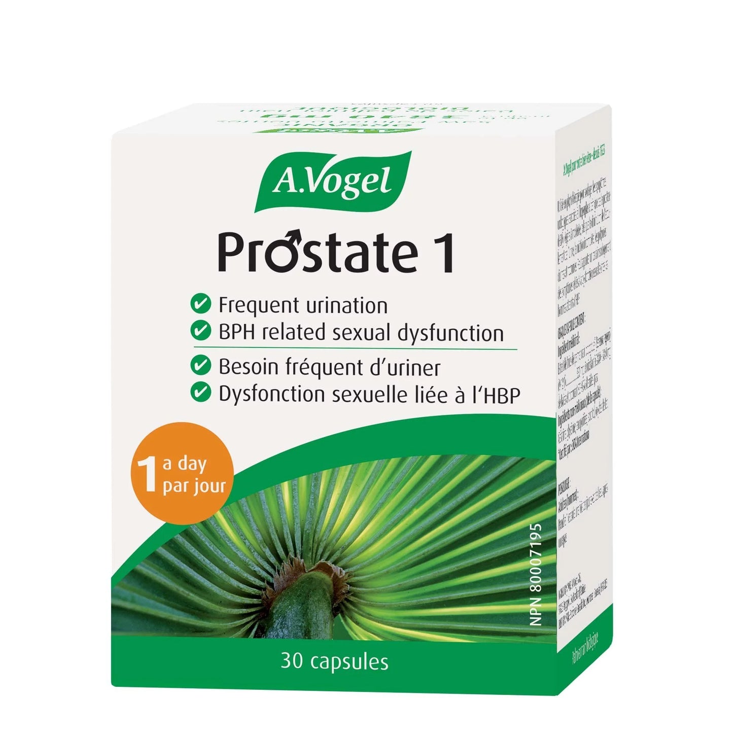 Prostate 1 -  30 capsules