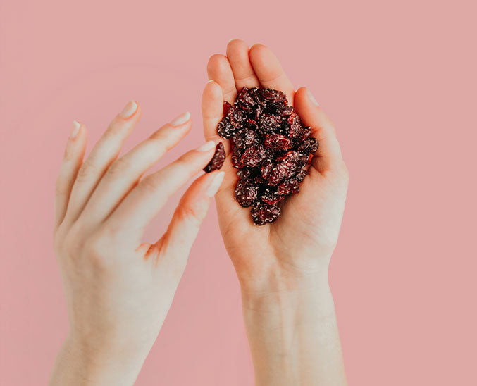 Canneberges Séchées - Surettes Melon d'eau